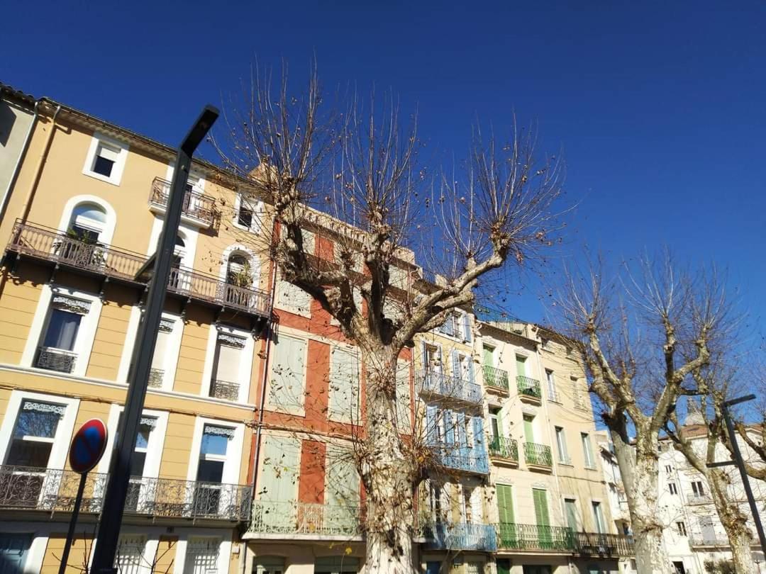 Entre Ville Et Canal, Calme Et Central - Gare A 700 M Narbonne Exteriér fotografie
